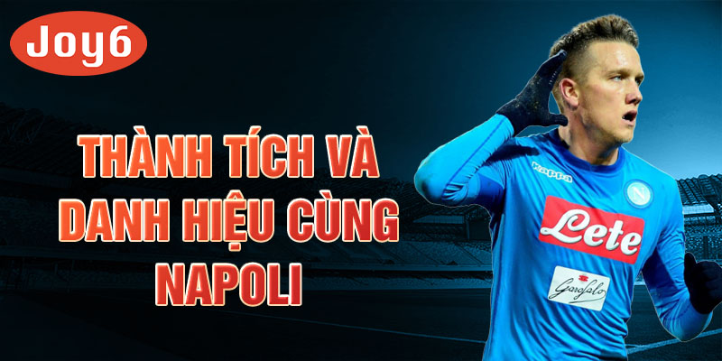 Thành tích và danh hiệu cùng Napoli