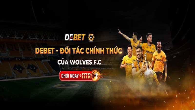 Nội dung debet hợp tác wolves