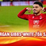 Morgan gibbs-white tỏa sáng